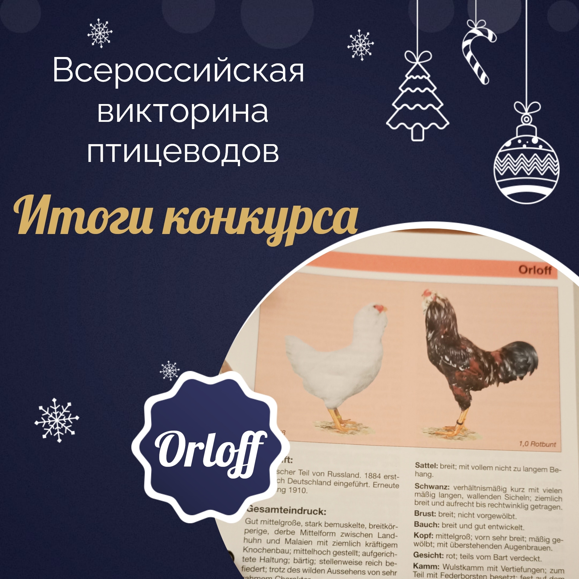 Павловская ассорти