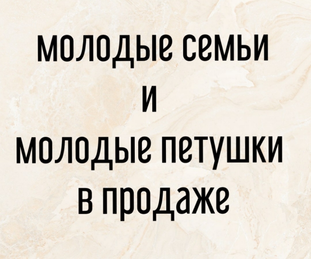 Леггорн далматинец — молодка