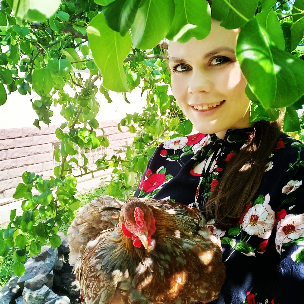 Голошейка породная